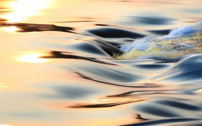 Systemisch kijken en interveniëren